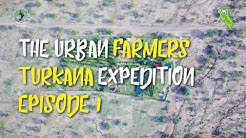 The urban farmers turkana…