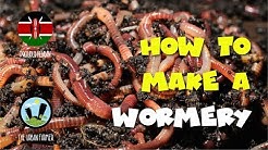 How to make a wormery pt 1 