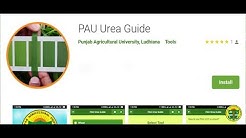 Urea have to be used according to…