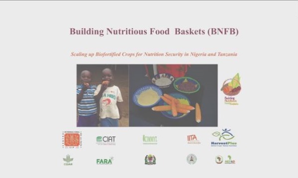Building nutritious food baskets 