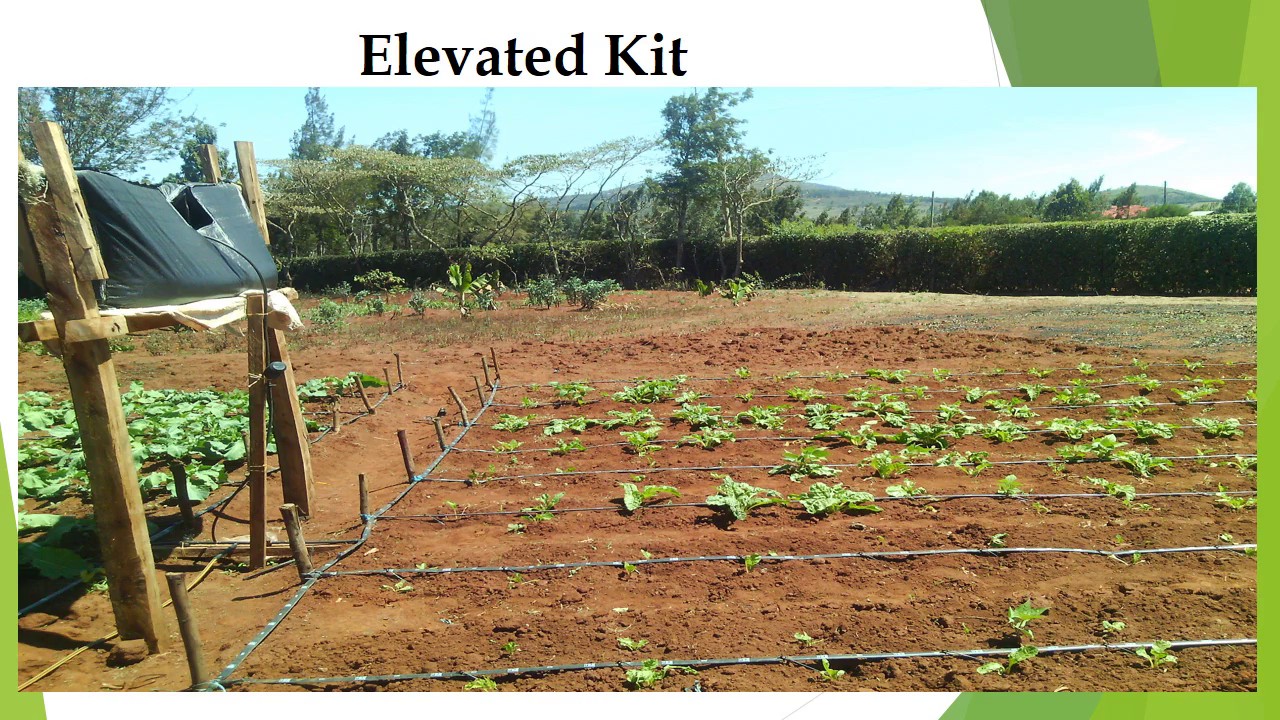 VEGETABLES : SIMPLIFIED IRRIGATION…