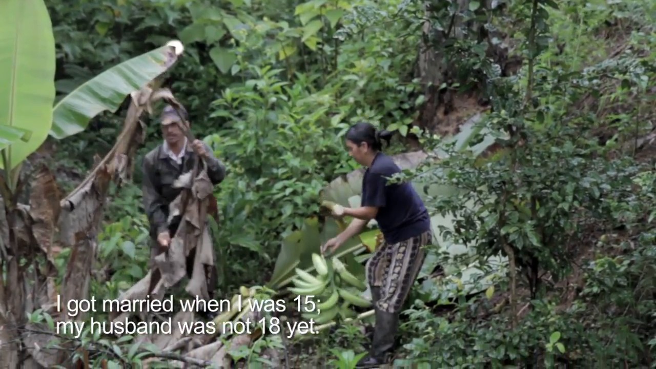VECO Andino: sustainable plantain…