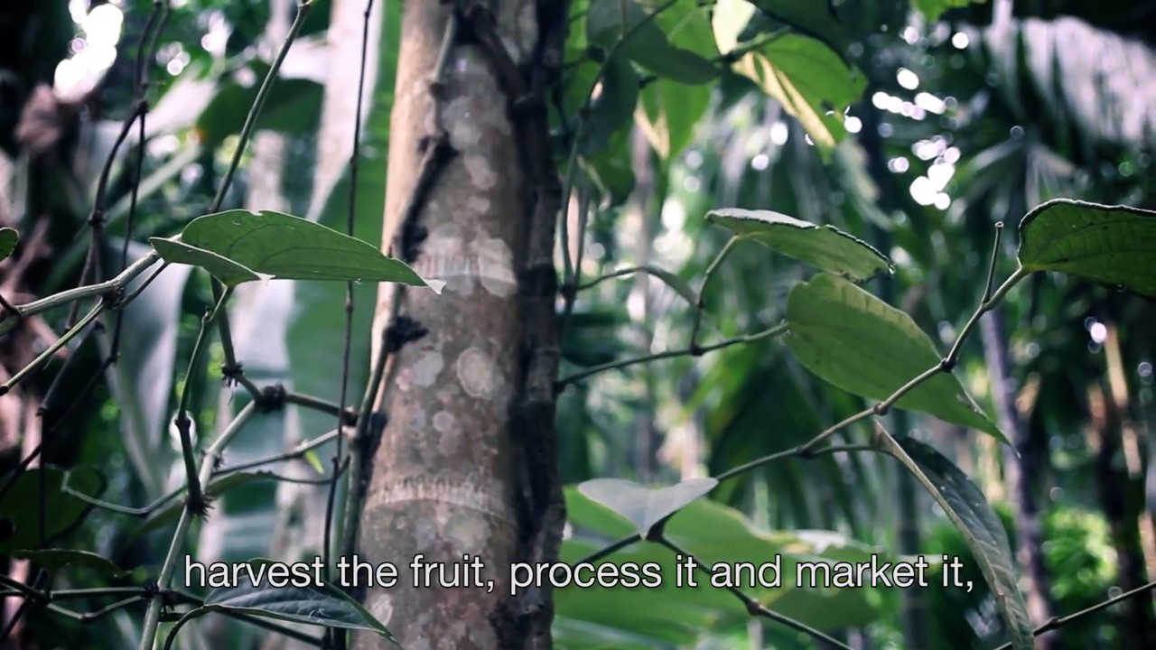 Participatory research for social…