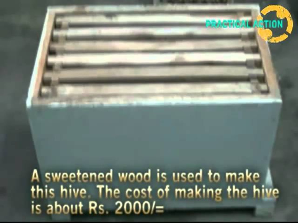 Bee Keeping in Sri Lanka