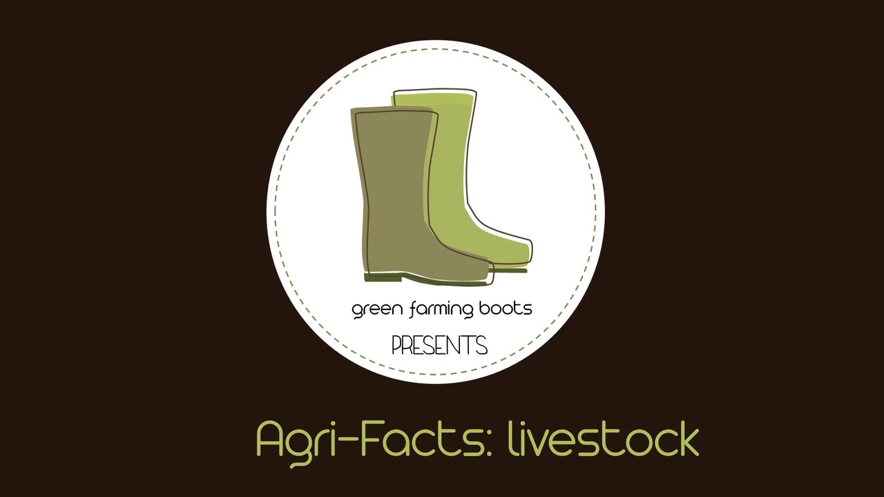 Agri-Facts: livestock 