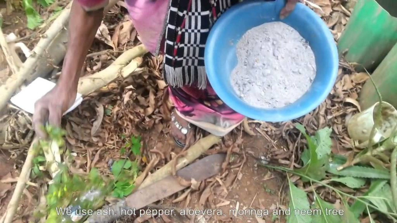 Manufacturing Local Fertilizer