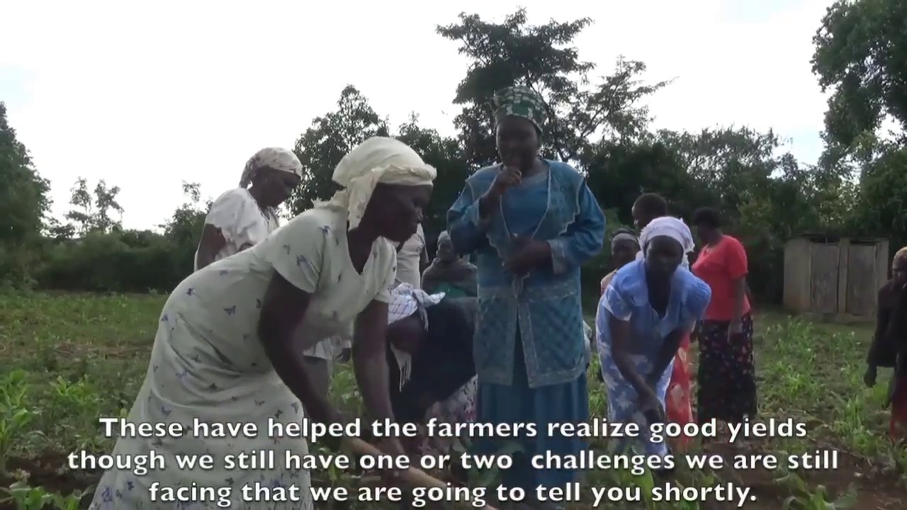 FARMERS FILM THEIR HOMEGROWN…