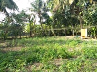  উৎপল বিশ্বাসের সফল সমন্বিত খামার…