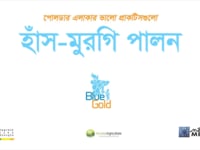 পোল্ডার এলাকার ভালো প্রাক্টিসেগুলো…