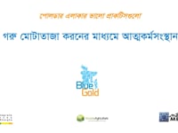 গরু মোটাতাজা করণের মাধ্যমে…