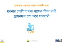 খুলনার গোপীপাগলা গ্রামের গীতারানী…