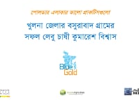 খুলনা জেলার বসুরাবাদ গ্রামের  সফল…