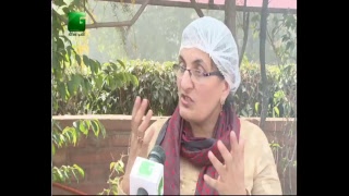 Green tv live channel…