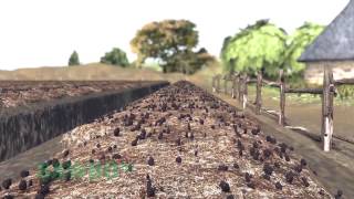 Sawbo: Survival Gardening: Raised…