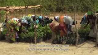 Arlomom - local trees for a better…