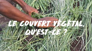 Le couvert végétal, une bonne…