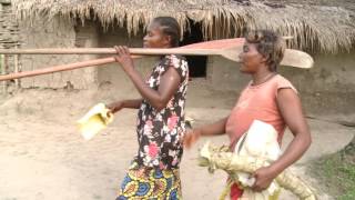 Fao dimitra clubs in dr congo:…