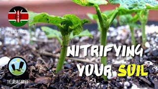How to space your green vegetables 