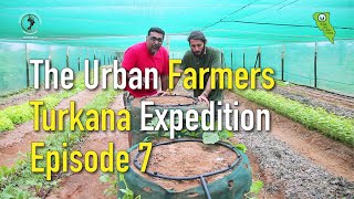 The urban farmers turkana…