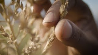 Every day, everywhere, family…