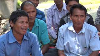 Collective approach for alternate…