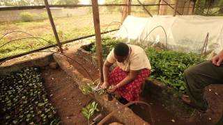 Impact of Fairtrade in Tanzania