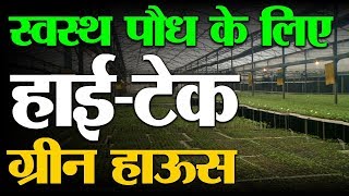 Hi-tech green house for seedling…