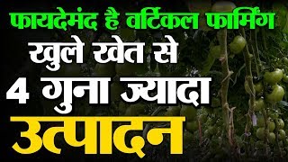 Vertical farming  के क्या है फायदे…