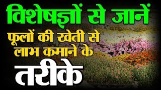 फूलों की खेती से कैसे कमाएं फायदे…