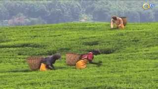 How Farmers are using their…
