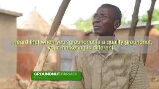 Aflatoxin impact on groundnut…