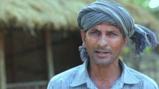 Beef fattening video: 