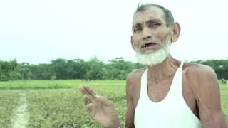 Mung bean video 