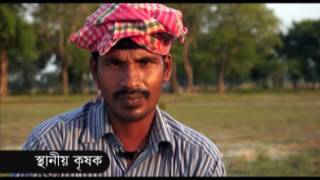 Jute video 