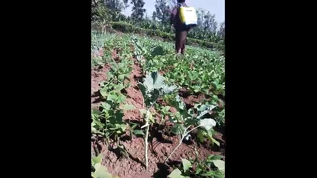 Crop protection