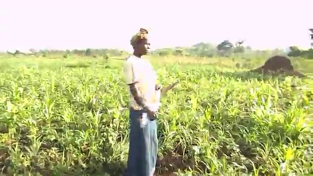 Agricultural video 