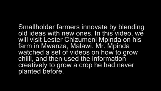 A new crop for Mr Mpinda