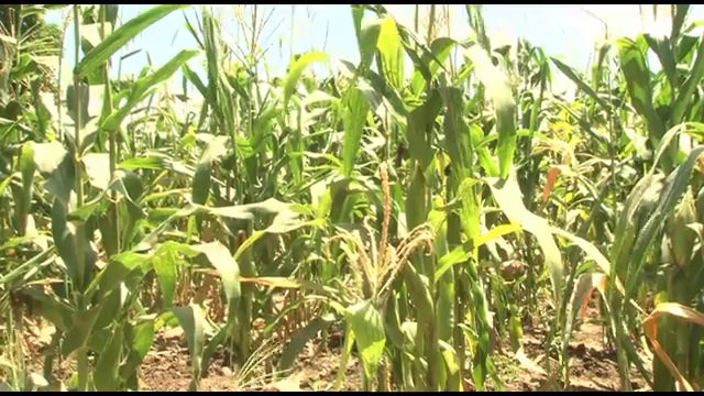 Farming and climate change  