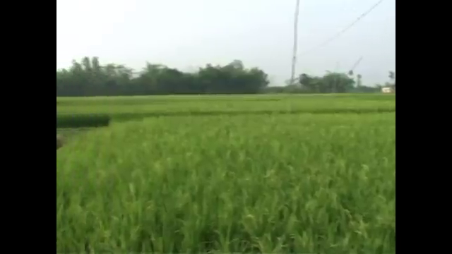 Awd technology for rice…