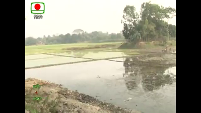 Fish farming in flood pane 