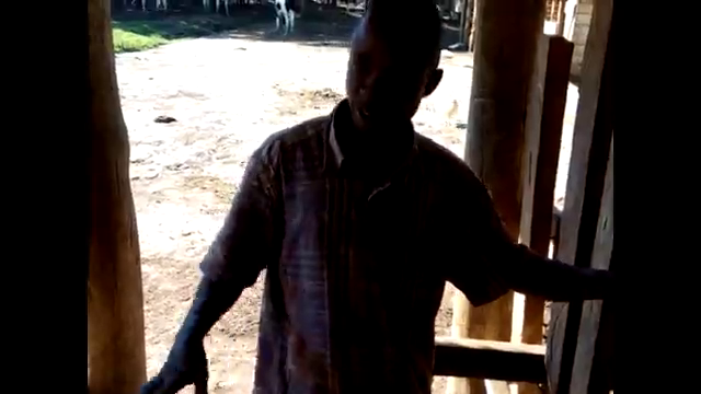 Dairy farming  