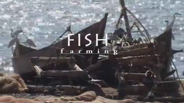 Fish farming 