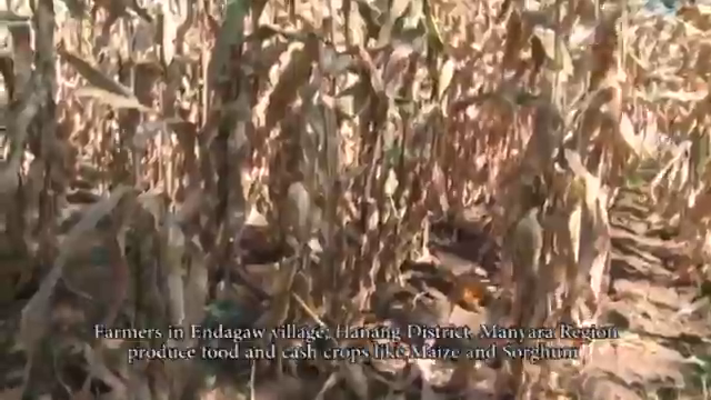 Farmers testimony 