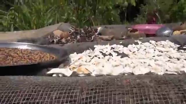 Farming the god's way 