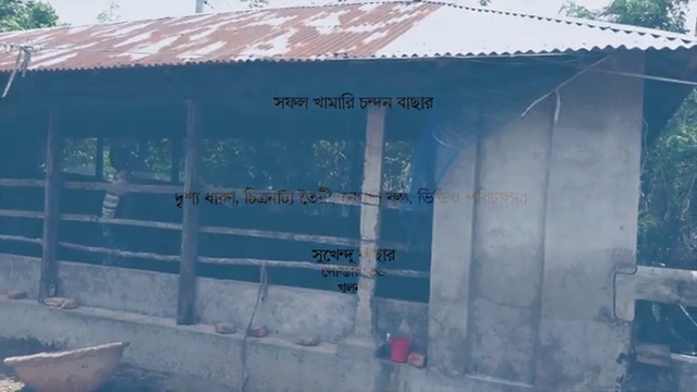 সফল গরুর খামারি চন্দন বাছার(কৃষকের…