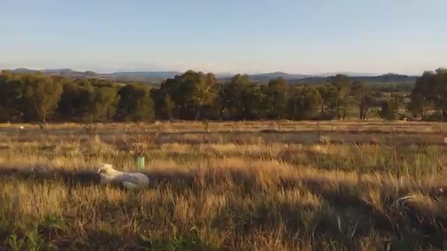 Food grassy woodland part 1 