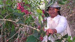 Conociendo la producción ecológica…