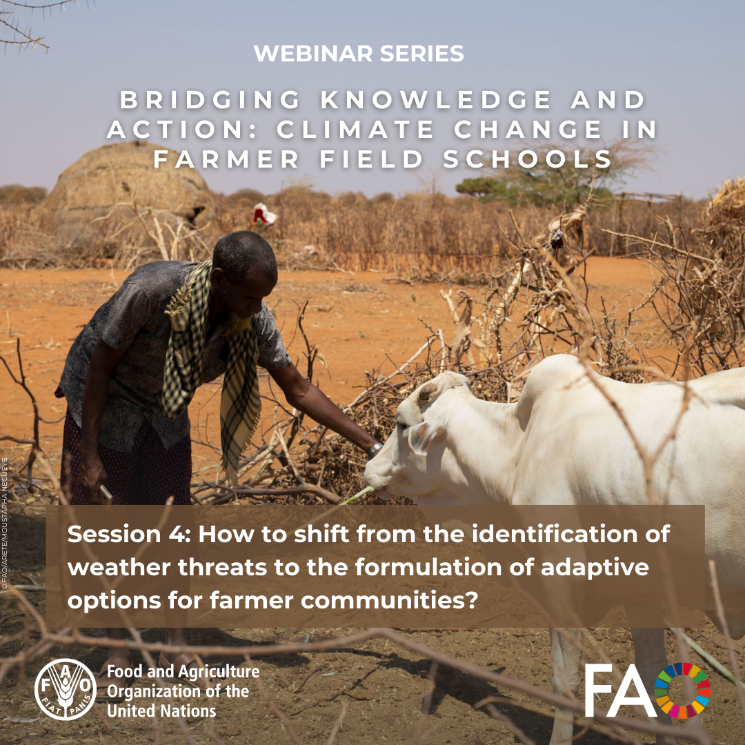 Analyse de l’Écosystème sur le…