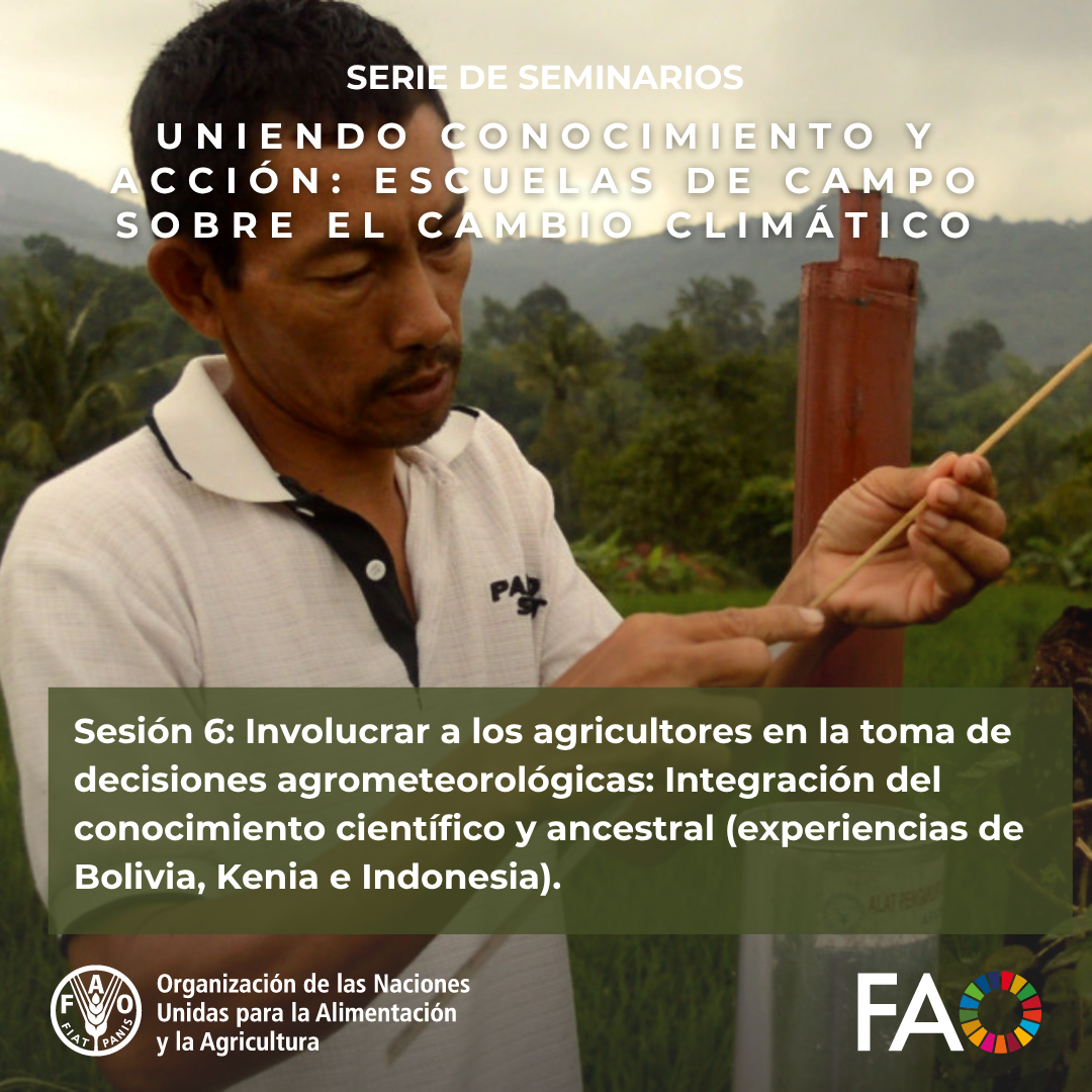 Co-construcción de conocimientos y herra…