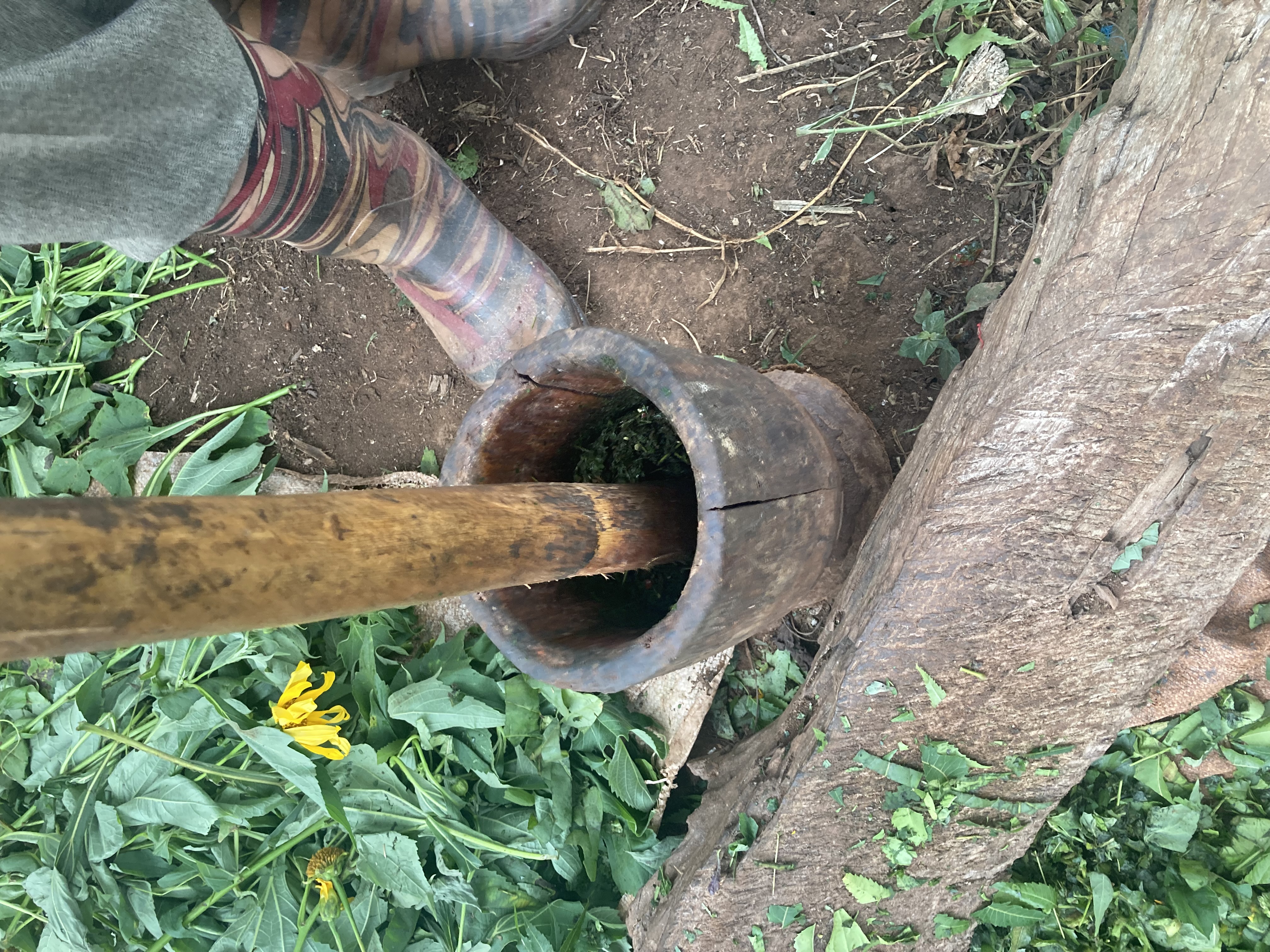 How to make a home-made natural pesticid…